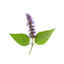 Patchouli Fragrance Oil